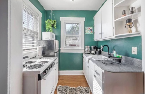 Seminole Heights Apartment | Jungle Themed Apt Close to Coffee Food and Shops!