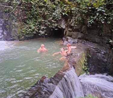 Bukit Lawang Other | Jungle View Homestay & Guesthouse