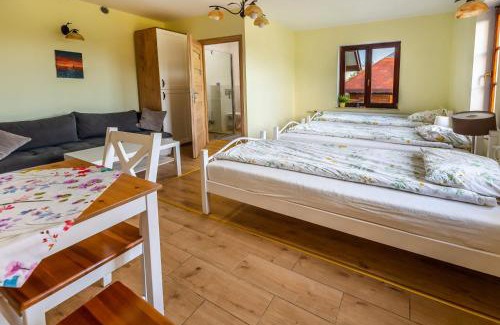 Zarki House | Jurajska Stokrotka