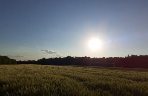 Kolbiel Other | Jurta Kołbielska