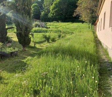 Ernstbrunn Other | Jurte