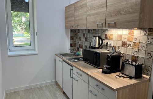 Tiszaujvaros Apartment | Kárpátia Apartman 1