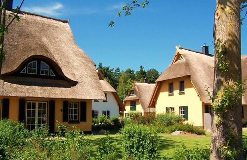 Dierhagen Dorf House | Küstenwaldvilla in Dierhagen