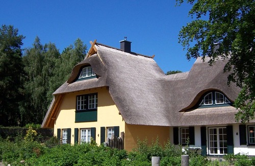 Dierhagen Dorf House | Küstenwaldvilla in Dierhagen