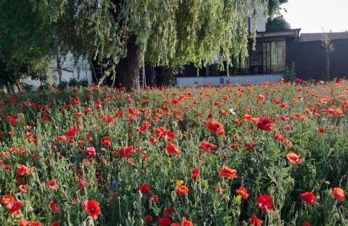 Kruishoutem Bed & Breakfast | K's Torentje