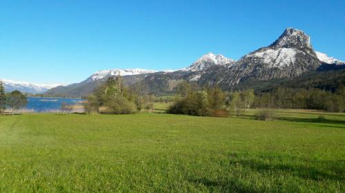 Strobl Apartment | K3 - Appartements
