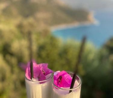Kabak Valley Bed & Breakfast | Kabak Armes Otel