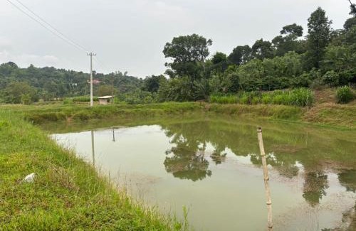 Mudigere House | Kadugadde Homestays - Near to Ettina Bhuja trekking