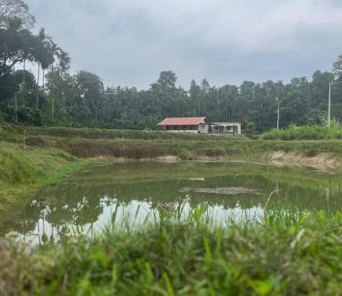 Mudigere House | Kadugadde Homestays - Near to Ettina Bhuja trekking