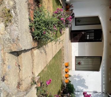 Shyamkhet House | KAFAL TREE Home Stay - PET FRIENDLY