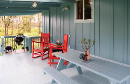 Mountain View House | Kahu 'lo - Guardian Hawk