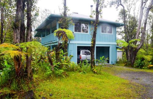 Mountain View House | Kahu 'lo - Guardian Hawk