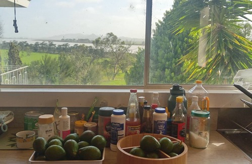 Te Kopuru House | Kaipara Gem with Water Views, Nearby Attractions and Activities.