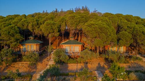 Datca Hotel | Kairos Valley Wellness & Longevity
