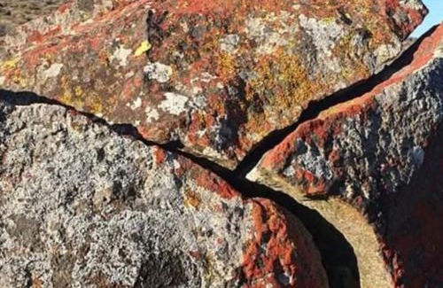 Calvinia Other | Kalkgat Avontuurplaas