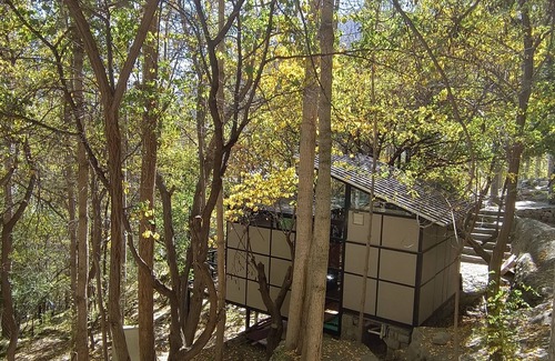 Hunza Ski Chalet | Kalp With Forest View- Cloud Nine and a Half Hunza