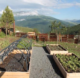 Aghavnadzor Bed & Breakfast | Kamis Guesthouse