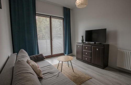 Boleslawiec Apartment | Kandinsky