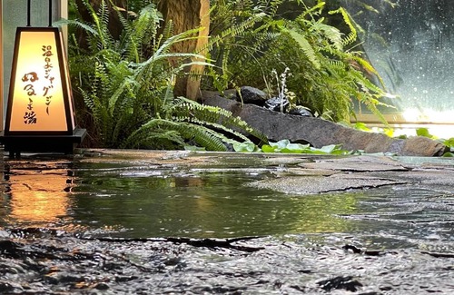 Sano Hotel | Kansai Airport Spa Hotel Garden Palace