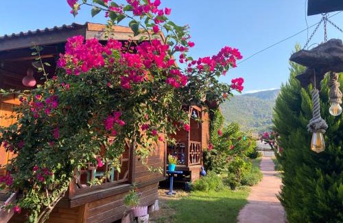 Karaoz Bed & Breakfast | Karaöz Ada Bungalows & Villa
