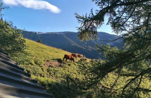 Javorniski Rovt House | Karavanke mountain hut