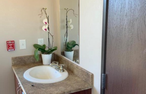 Carlsbad Hotel | Karbani Inn