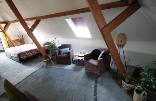 Lutten Apartment | Karin's kruidenhoeve B&B kamer Kamille met Finse sauna