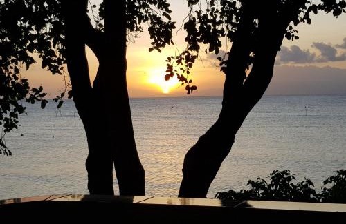 Larena House | Karlsson's Guesthouse