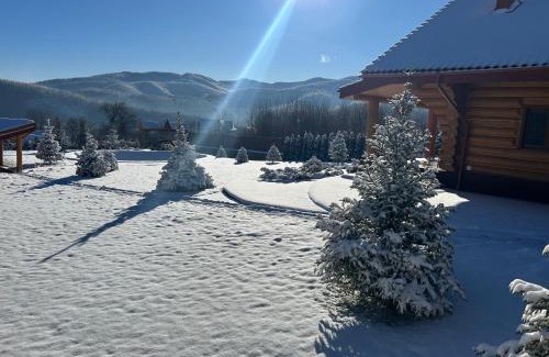 Yaremche House | Karpaty