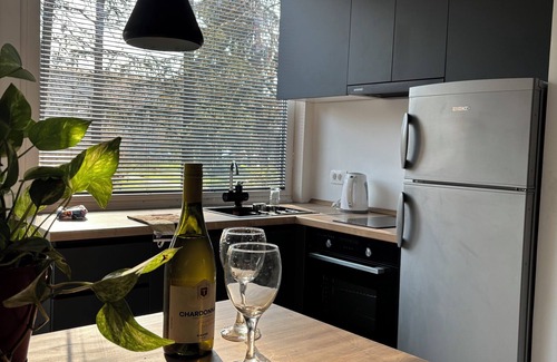 Skopje Region Apartment | Karposh garden apartment