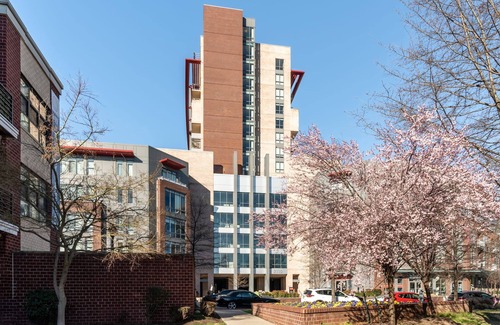 Del Ray Apartment | Kasa Homey Studio Rooftop Terrace Alexandria