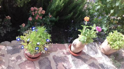 Ait Izdeg House | Kasbah Izoran