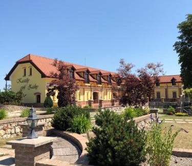 Haniska House | Kastély gróf Zichy