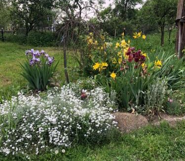 Lazarea House | Kata Vendégház