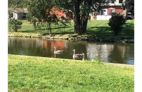 Casco House | Kate's Canalside CottagenKayak and fish right from your back yard!