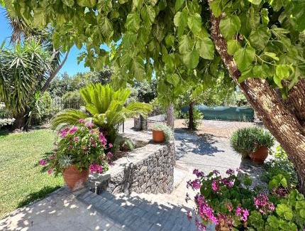 Skripero Apartment | Katerinas House