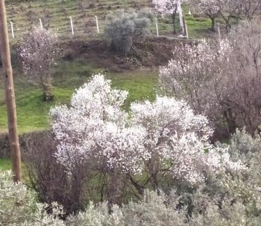 Sirince House | Katina Boutique Otel