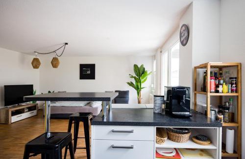 Beiertheim Apartment | KAwaii- Big island in central location