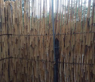 Kongola Other | Kayubo Campsite