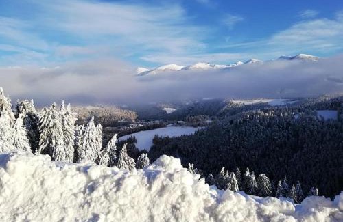 San Lorenzo di Sebato Apartment | Kehrerhof Urlaub auf dem Bauernhof