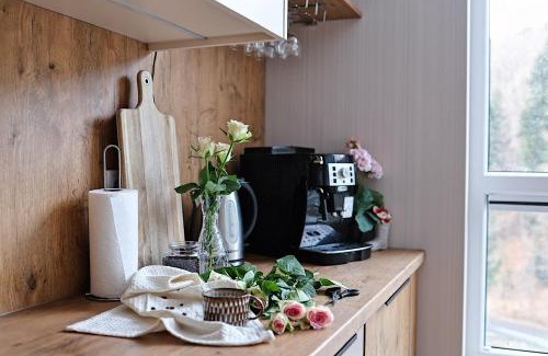 Porabka Apartment | Keller Apart - Kurort Kozubnik K25