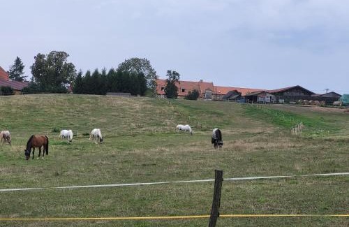 Tocnik Other | Kempování s výhledem na hrady