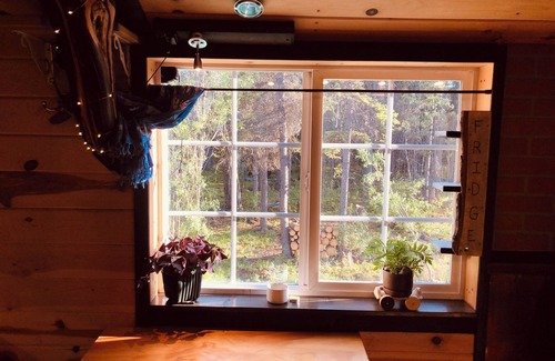 Kenny Lake Cabin | Kenny Lake Cabin 25 miles from famous Copper River fish in Chitina! Pets ok!