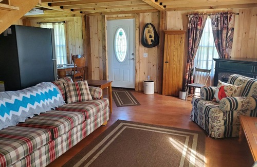 Savona Cabin | Kermit’s Cabin in Finger Lakes Region