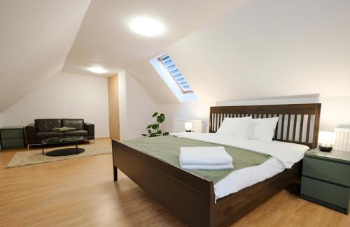 Martin Apartment | Kesta Apartmán