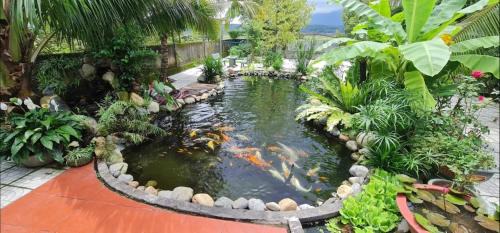 Tanh Linh Hotel | Khách sạn 25 tháng 12 - Tánh Linh