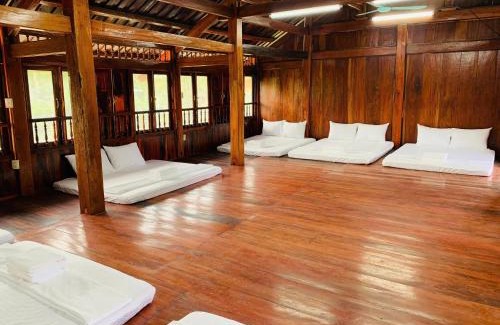 Hoa Lu Other | Khu DL ST Cánh Đồng Vàng