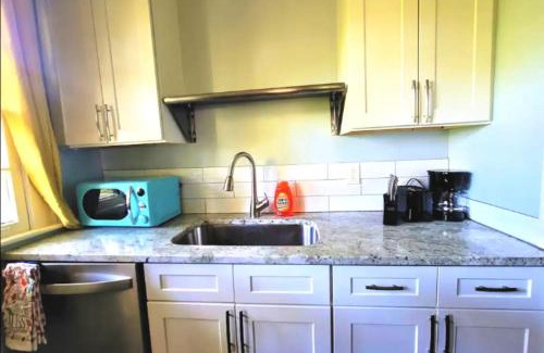 Decatur Apartment | King bed and Queen Sofa bed/room TV Wifi