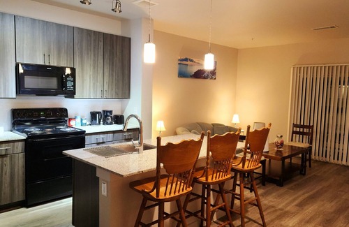 George Bush Park/Eldridge Apartment | King bed pool view apartment with WiFi and fitness room in awesome Houston