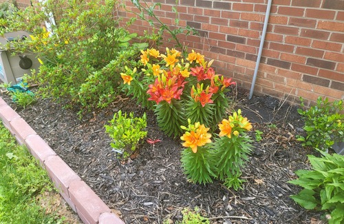 Kernersville House | KingBed Hot Tub BBQ Games Hypoallergenic